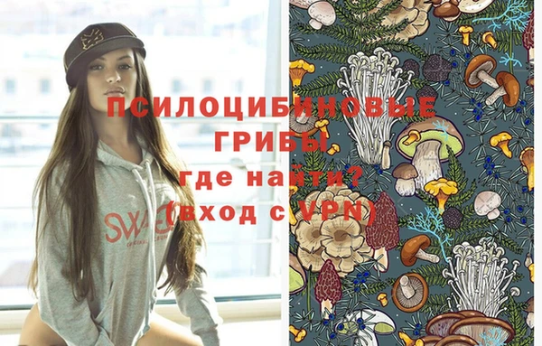 a pvp Каменногорск