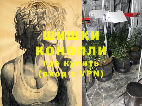 трава Кинешма