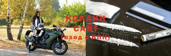 прущие грибы Кодинск