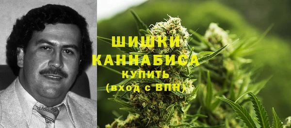 прущие грибы Кодинск
