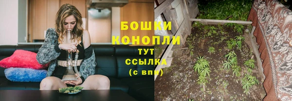 прущие грибы Кодинск