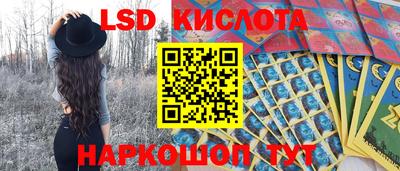 мяу мяу мука Гай
